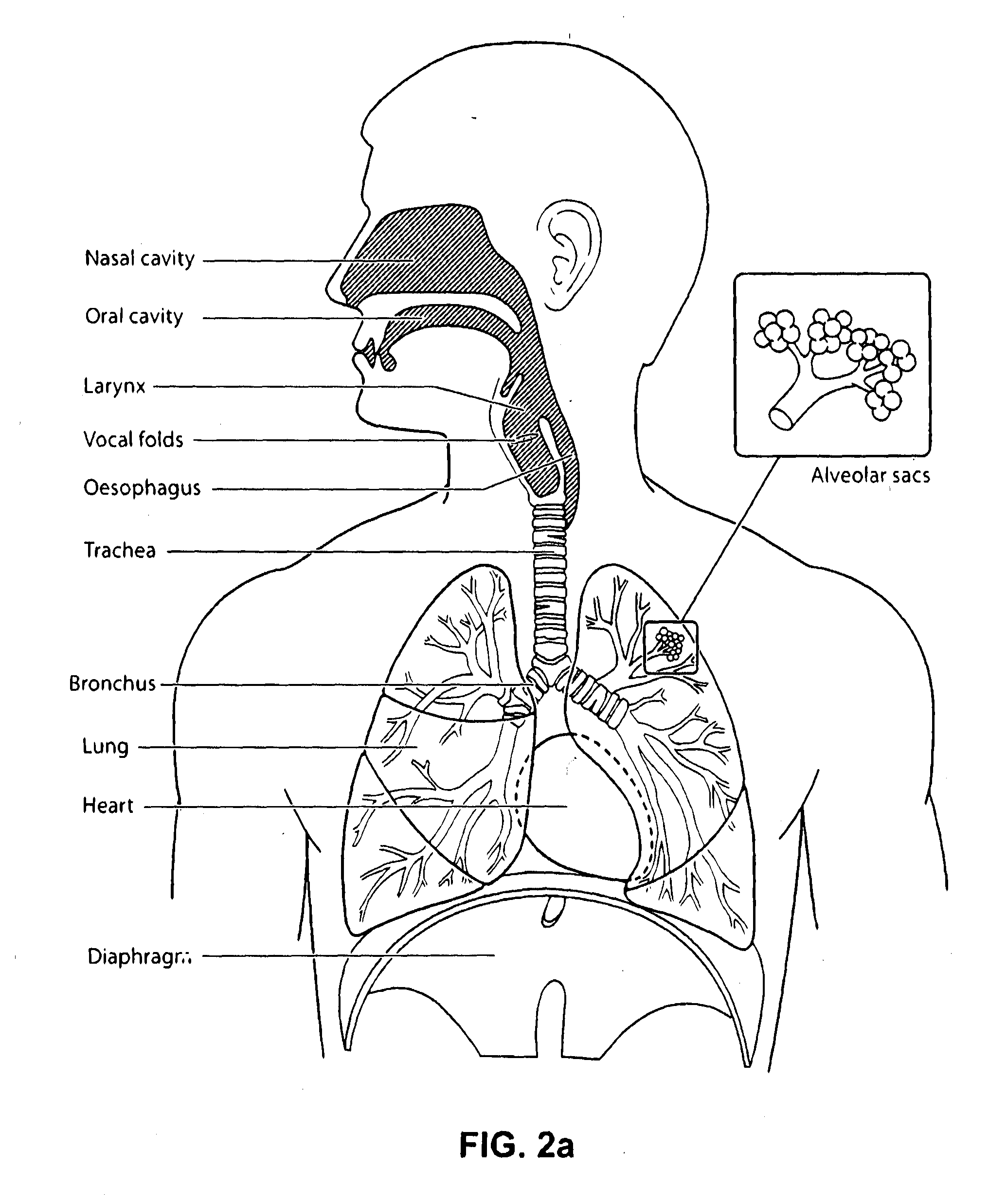 Nasal mask system