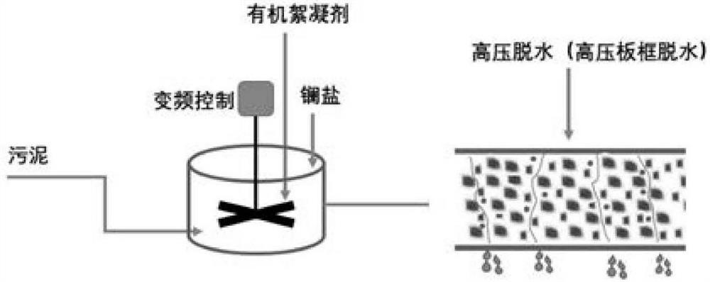 Sludge dewatering conditioner and sludge dewatering method