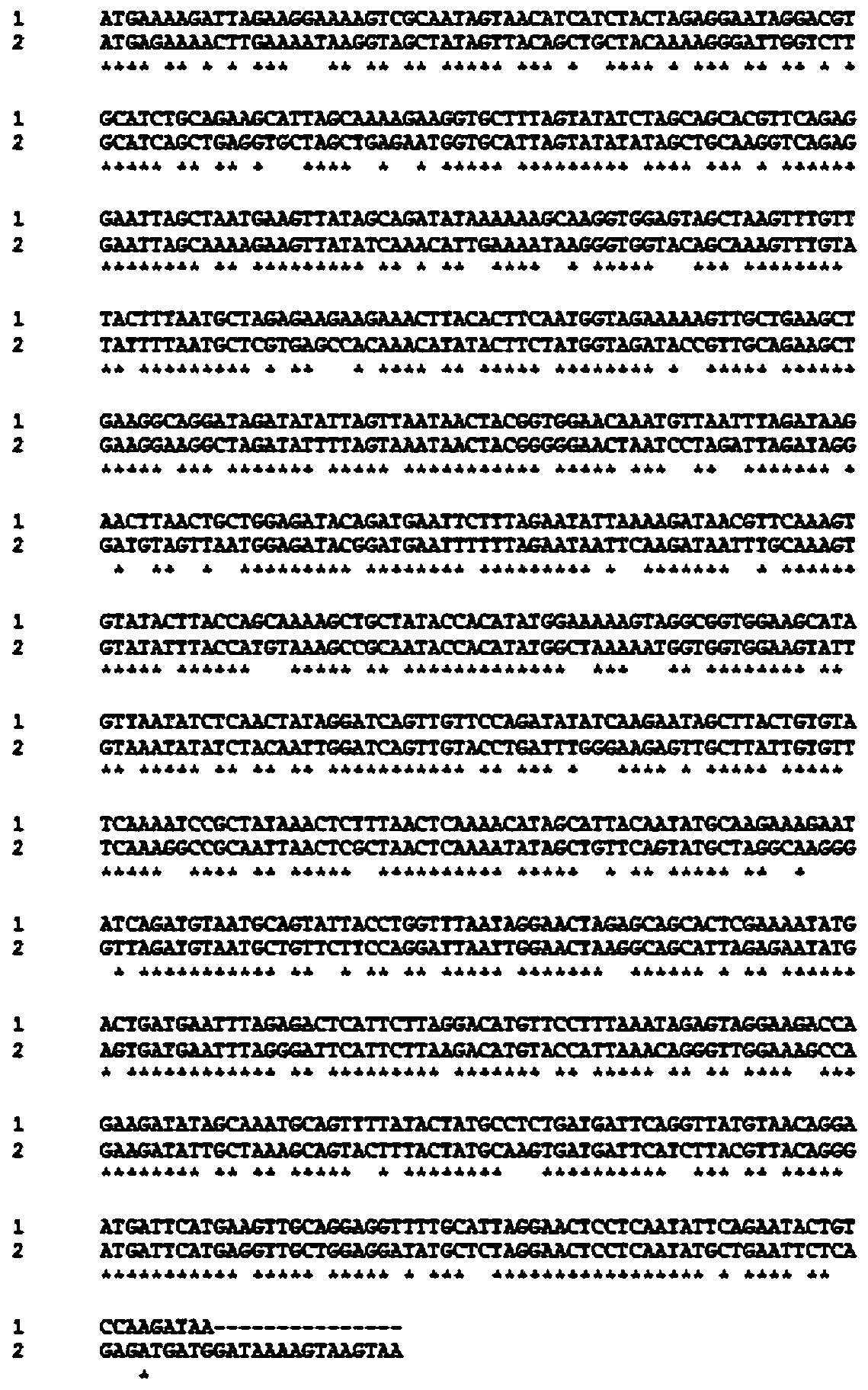 7α-hydroxysteroid dehydrogenase gene s1-a-2
