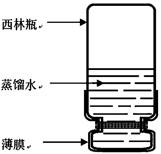 Multifunctional liquid band-aid and preparation method thereof