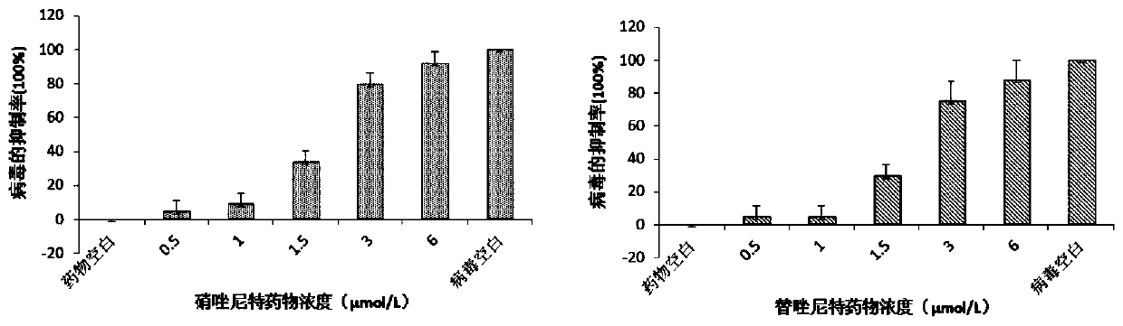 Application of nitazoxanide and tizoxanide in preparation of drug for resisting porcine reproductive and respiratory syndrome viruses
