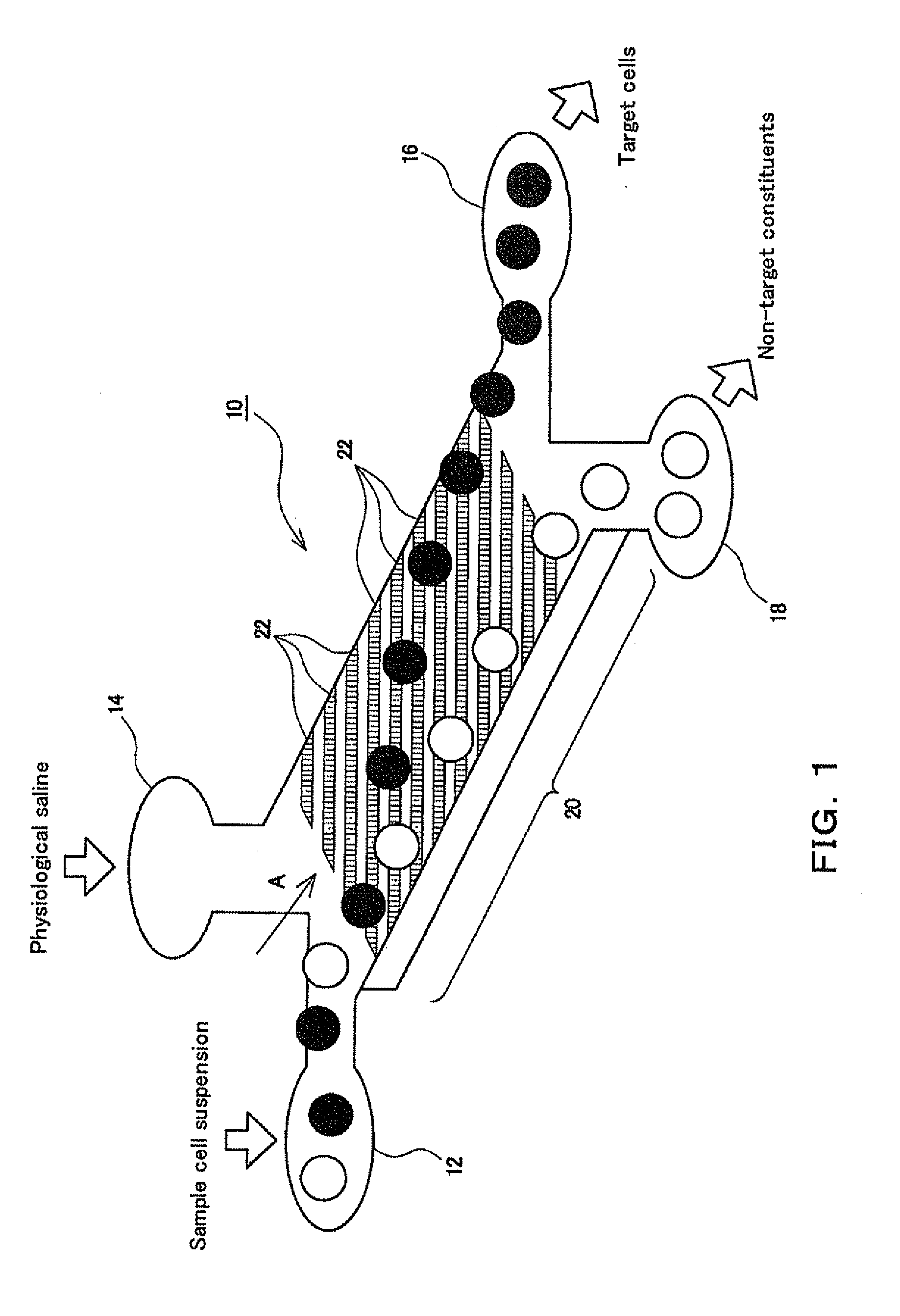 Cell separation device, cell separation system and cell separation method