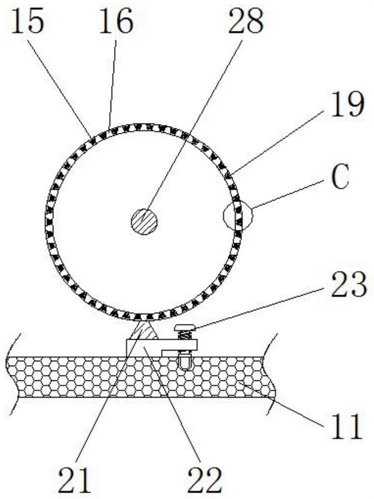 A cleaning device for snail processing that facilitates removal of snail tails