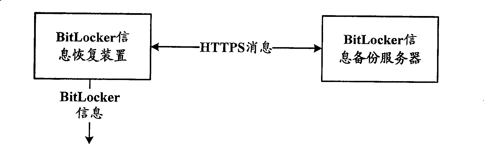 VistaVista operating system BitLocker information retrieval process and system