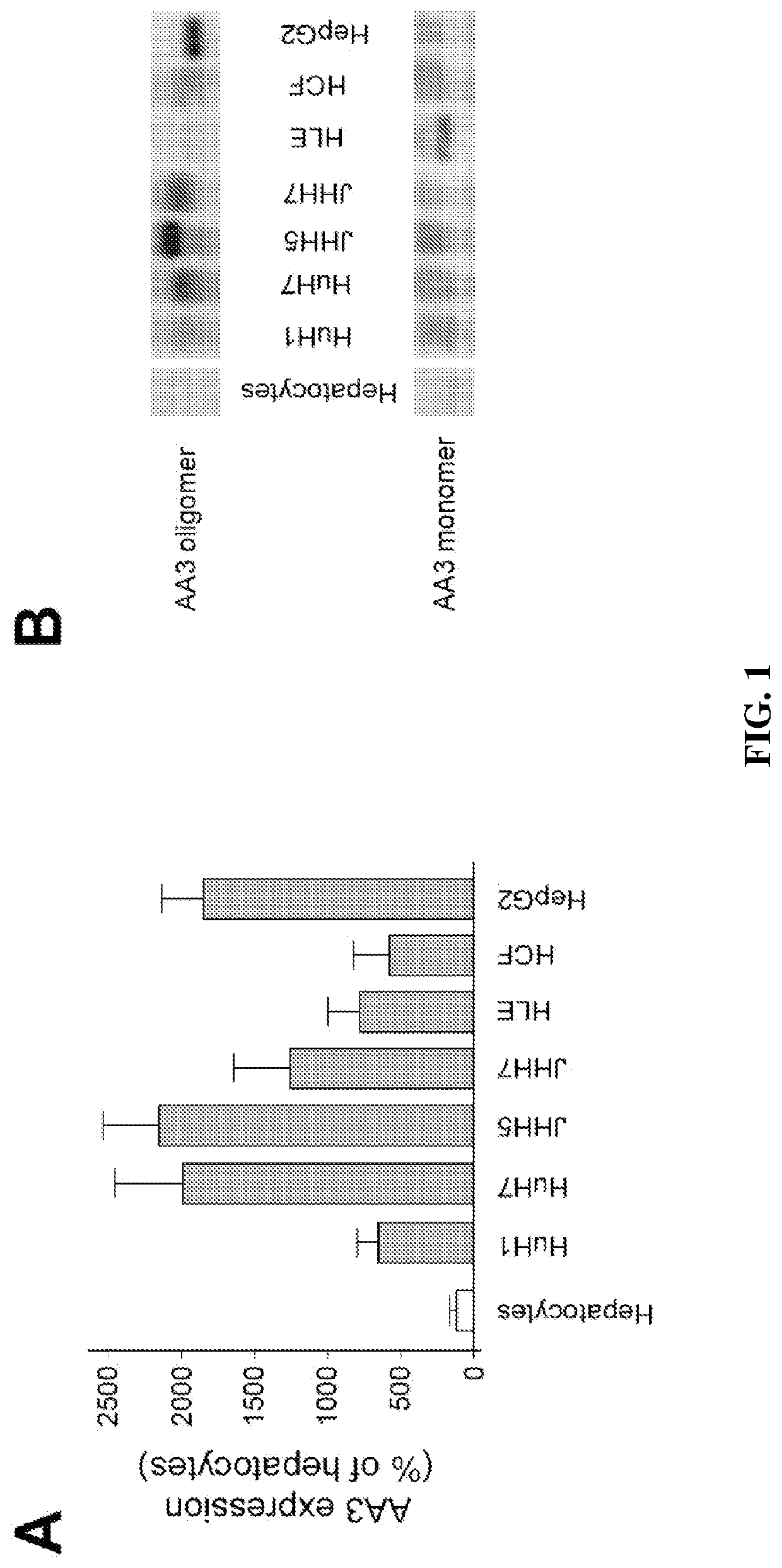 Inhibition of aminocylase 3 (AA3) in the treatment of cancer