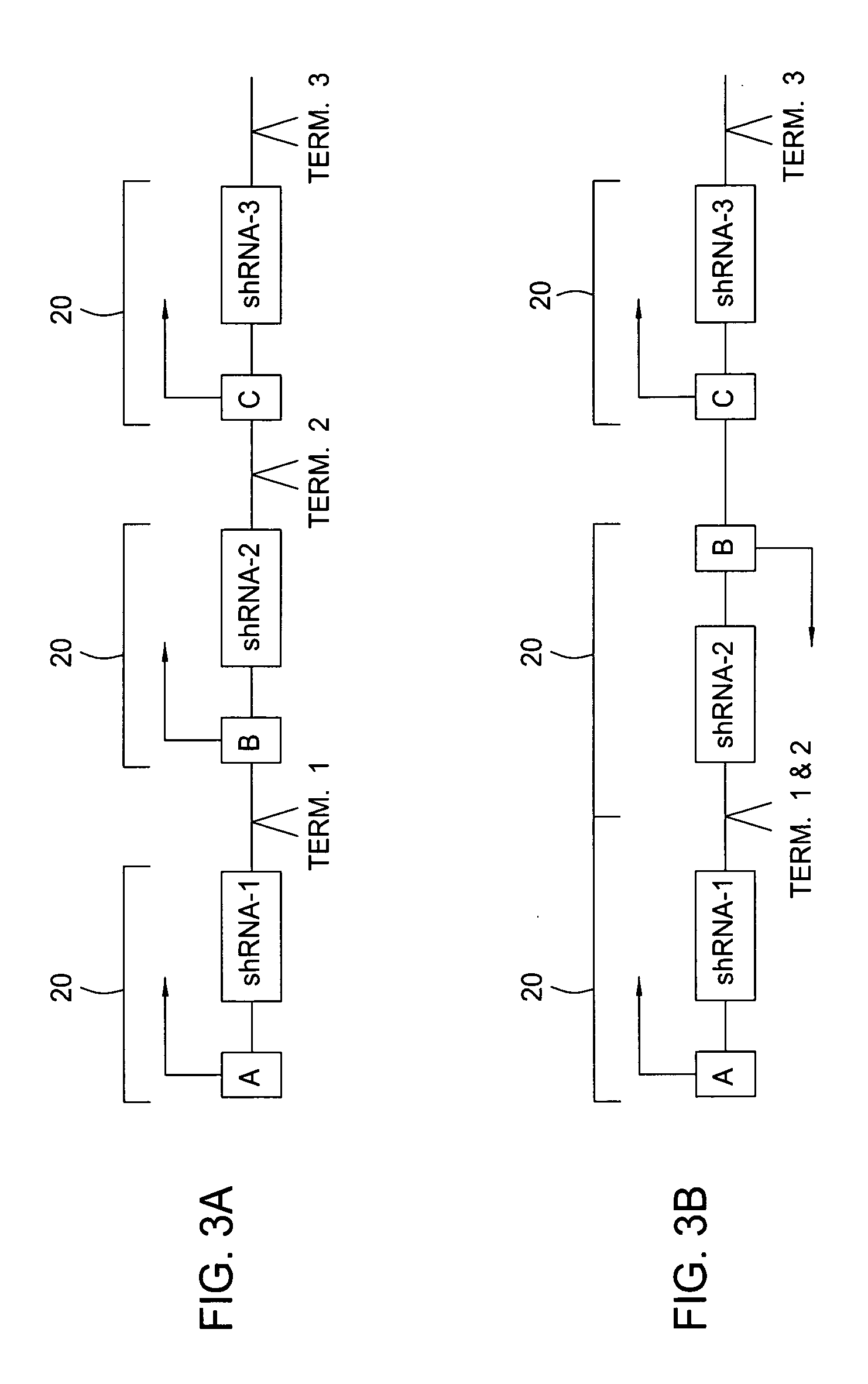 Modulation of hair growth