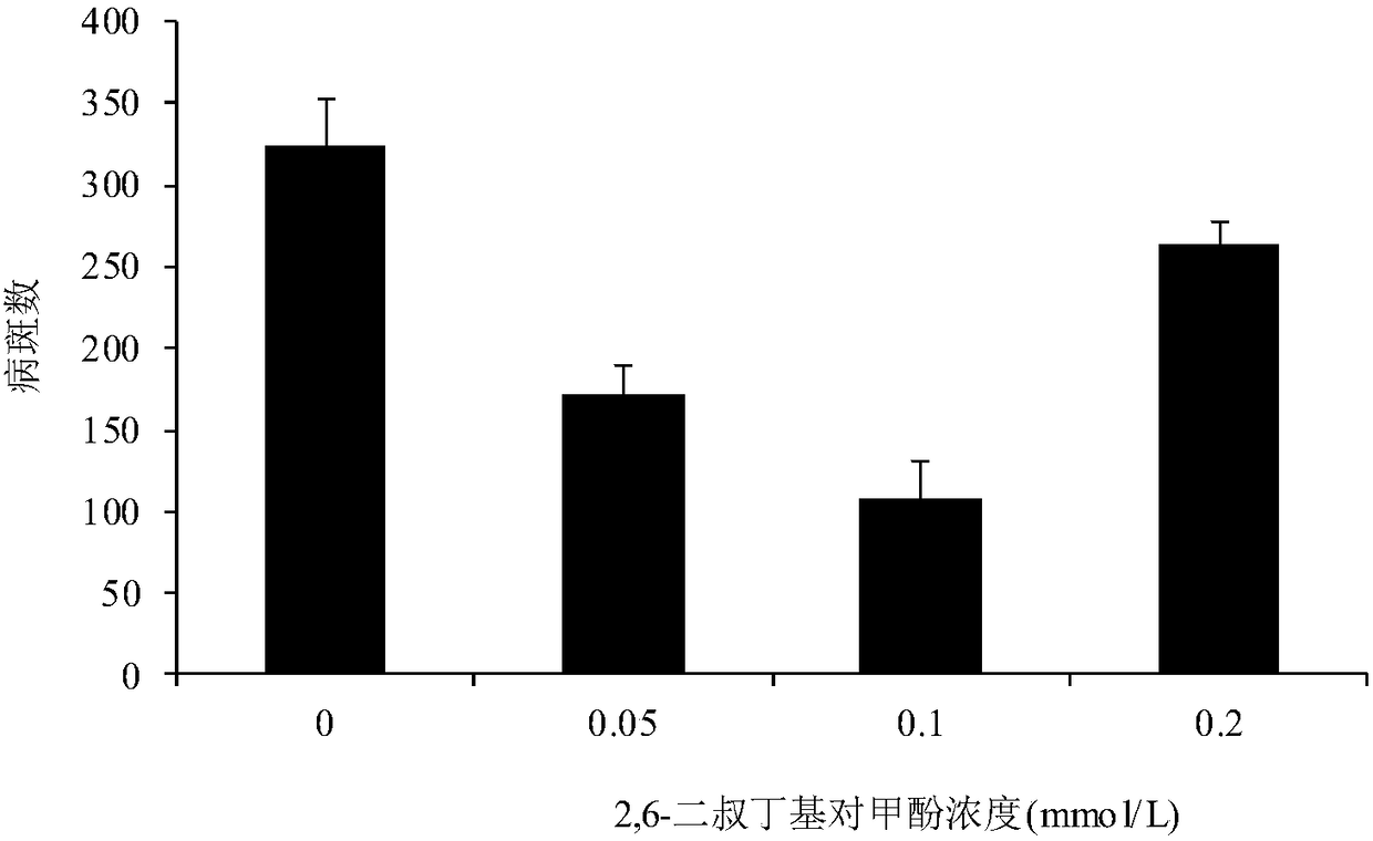 Application of 2,6-di-tert-butyl-p-cresol as plant disease-resistant activator in apple leaf part