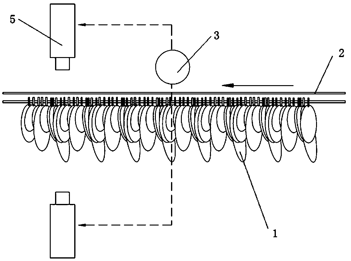 Continuous laminated image acquisition method for sorting large-leaf crops