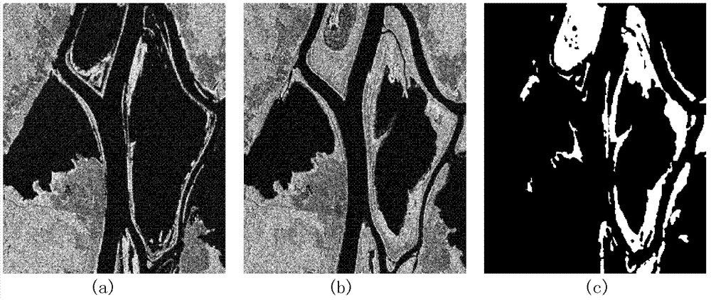 SAR (Specific Absorption Rate) image change detection method based on space approach degree and pixel similarity