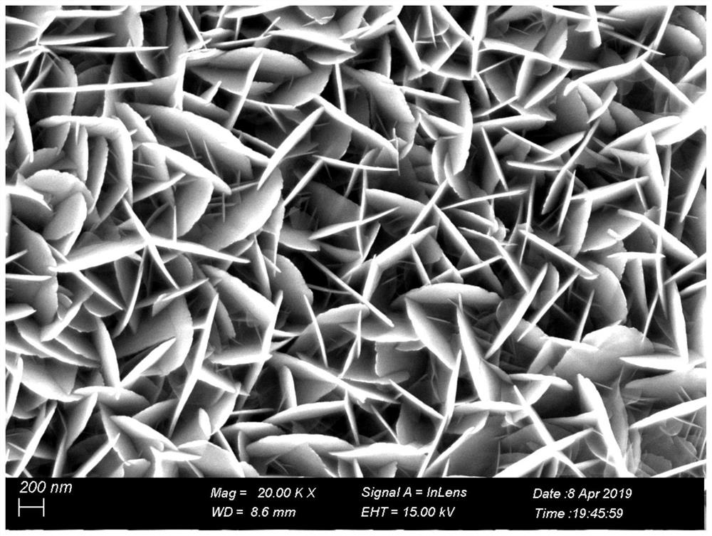 A kind of preparation method of tin oxide nanosheet array supercapacitor cathode material