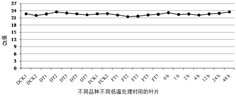 Application of Phalaenopsis pp2a Gene as Internal Reference Gene