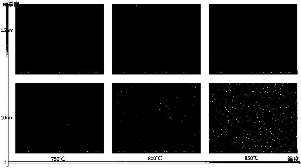 Method for preparing an AlN nano-pattern template on the basis of Ni metal self-assembly