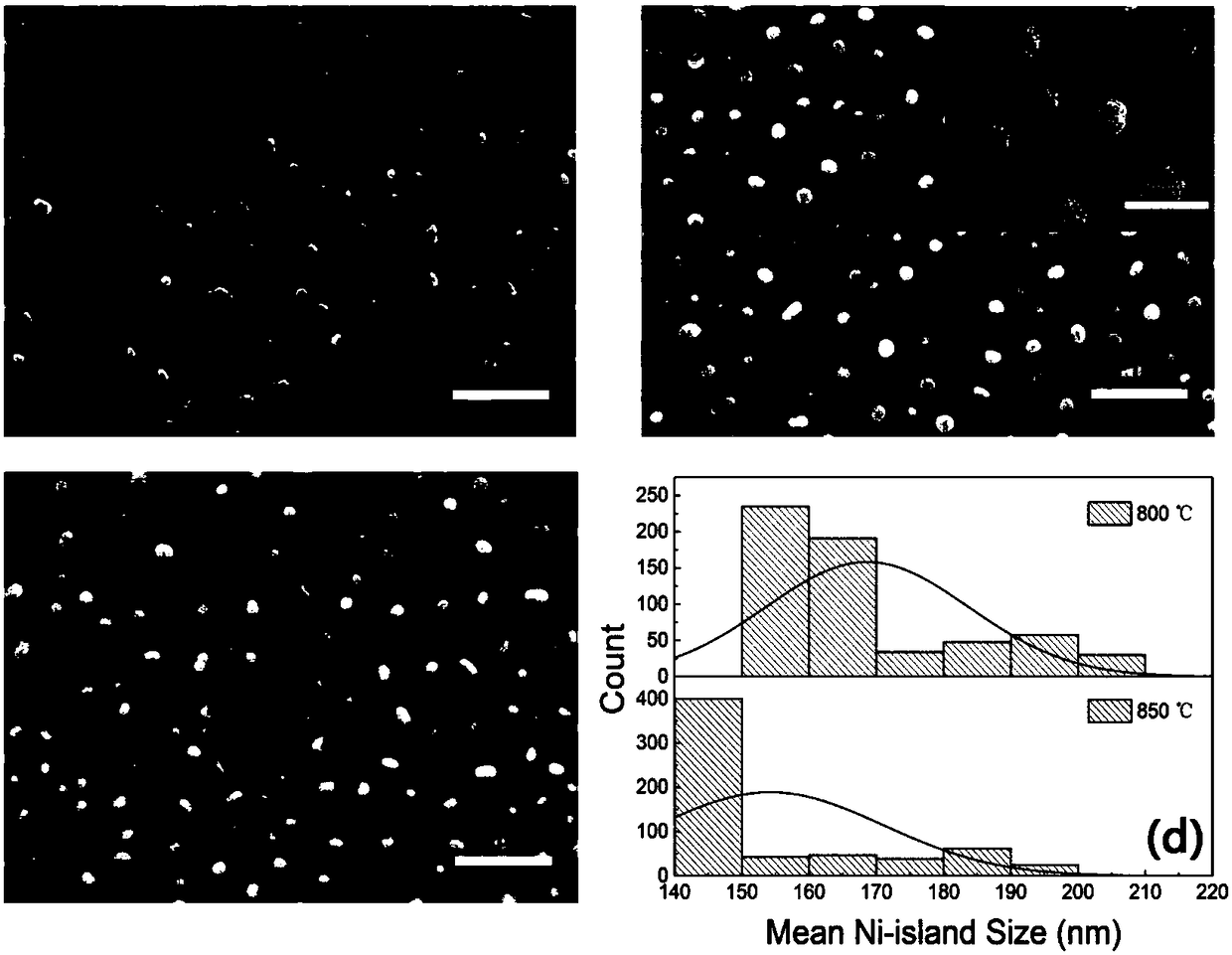 Method for preparing an AlN nano-pattern template on the basis of Ni metal self-assembly