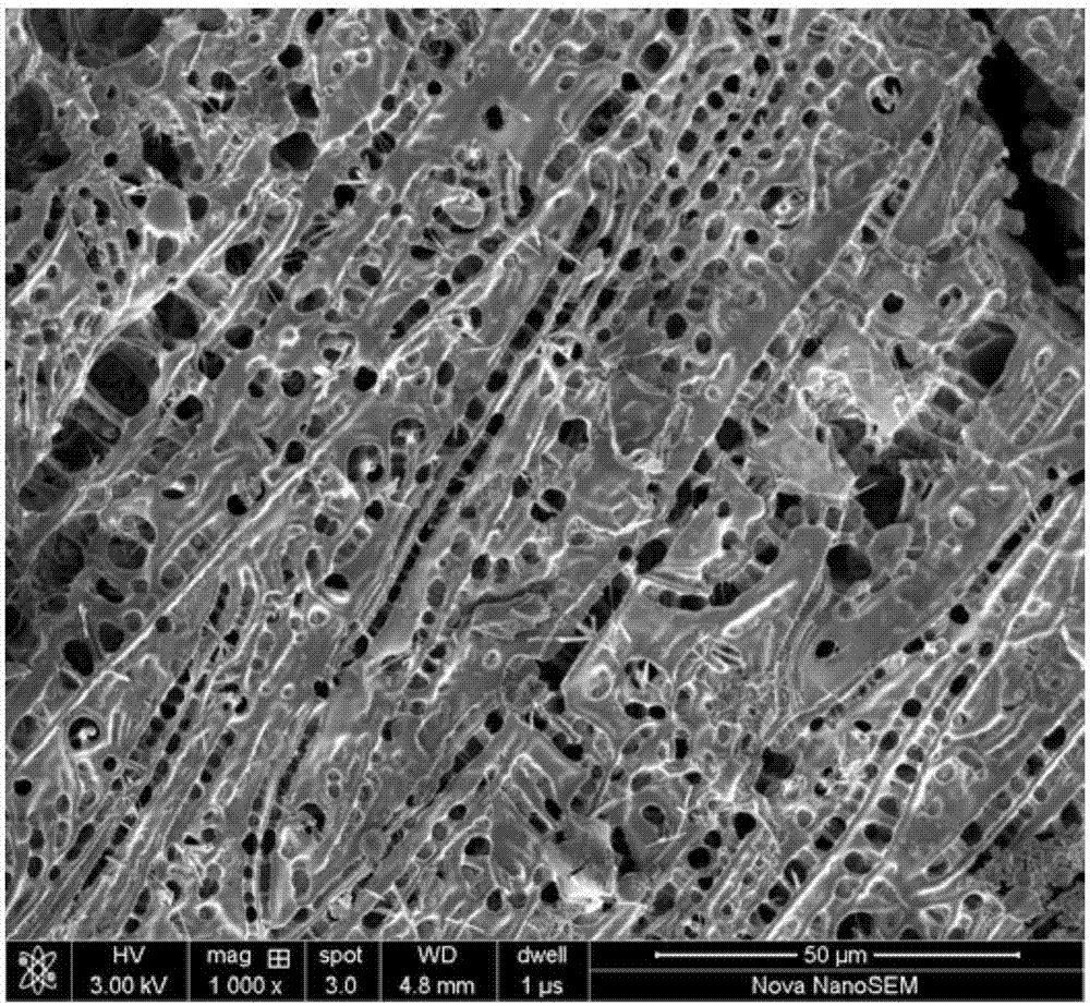 Preparation method of PAA (polyacrylic acid) hydrogel adhesive