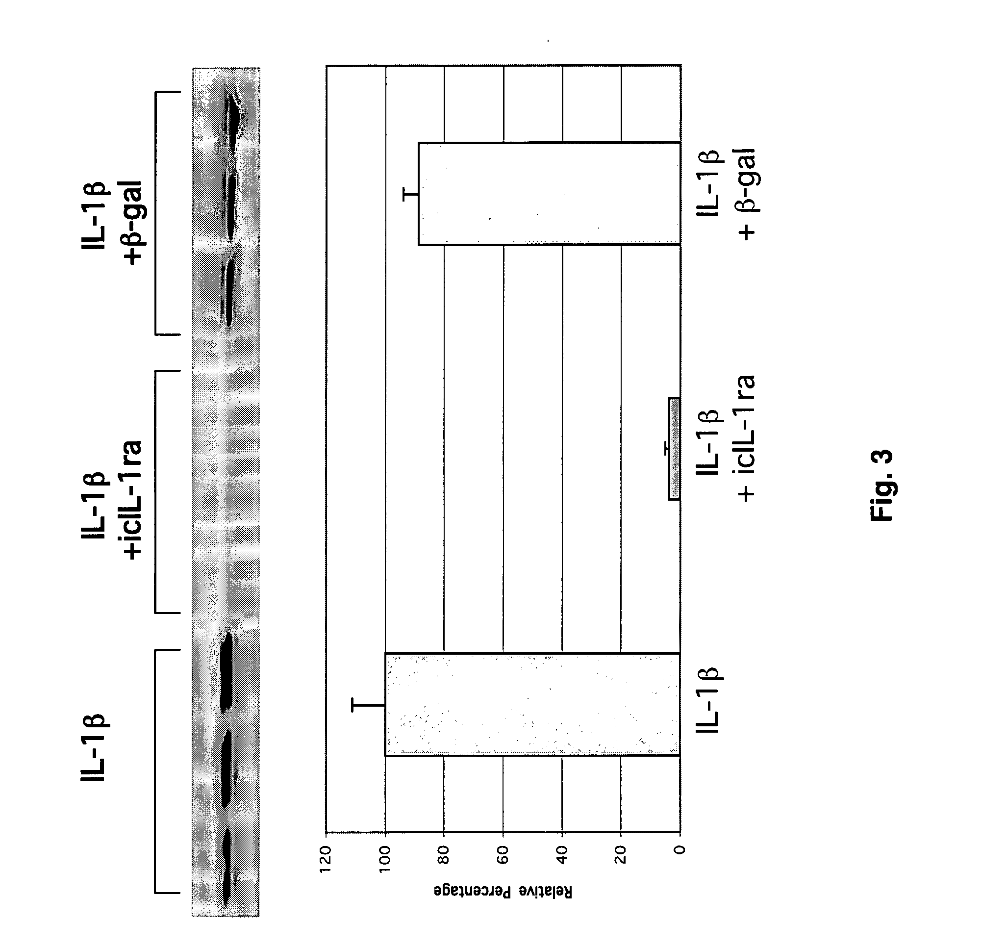 Intracellular interleukin-1 receptor antagonist and uses thereof