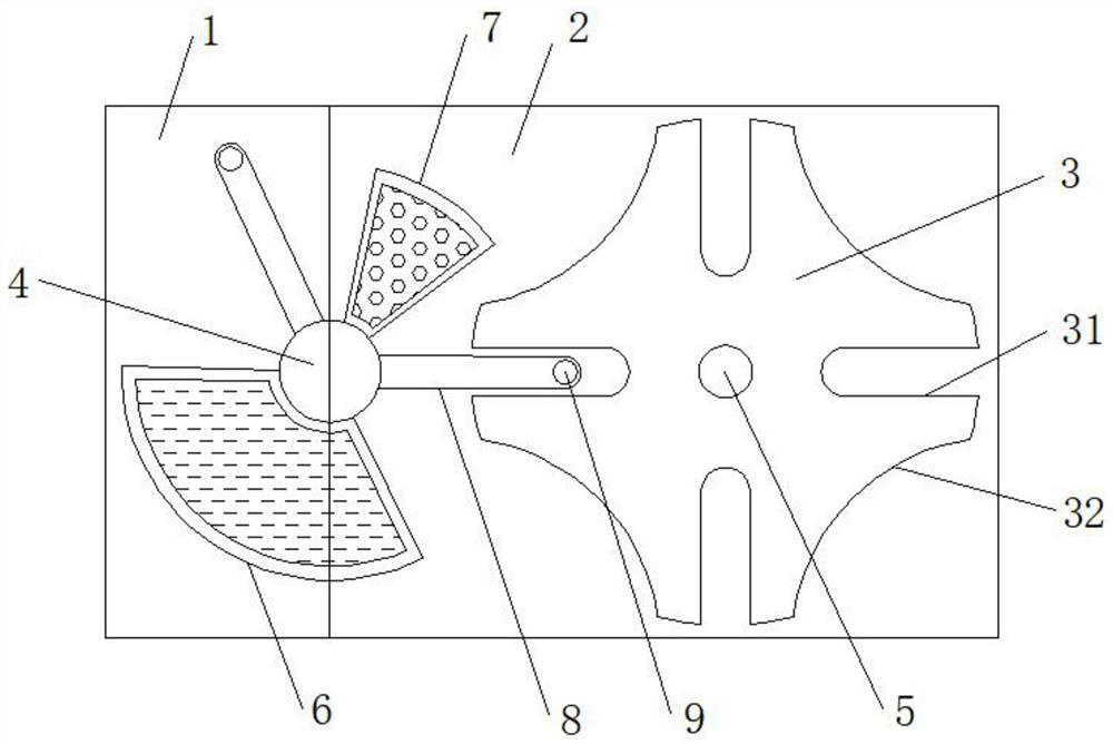 A directional feeding structure for young sheep in captivity