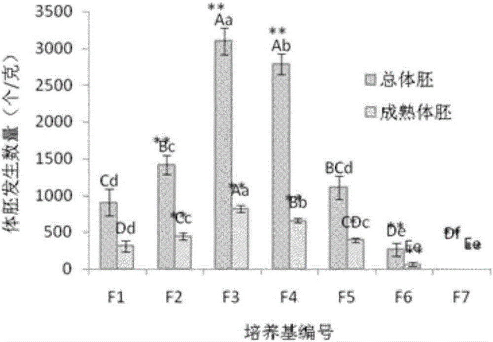Somatic embryo all-solid cultivation plant regeneration method of hybridized liriodendron tulipifera by deionized formamide