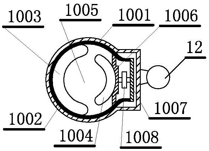 A toilet type rapid physical examination device