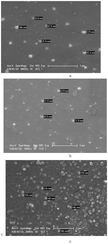 A self-carrying carrier-free nasal cavity nano-preparation brain-targeted delivery system modified with chitosan oligosaccharides and its preparation method