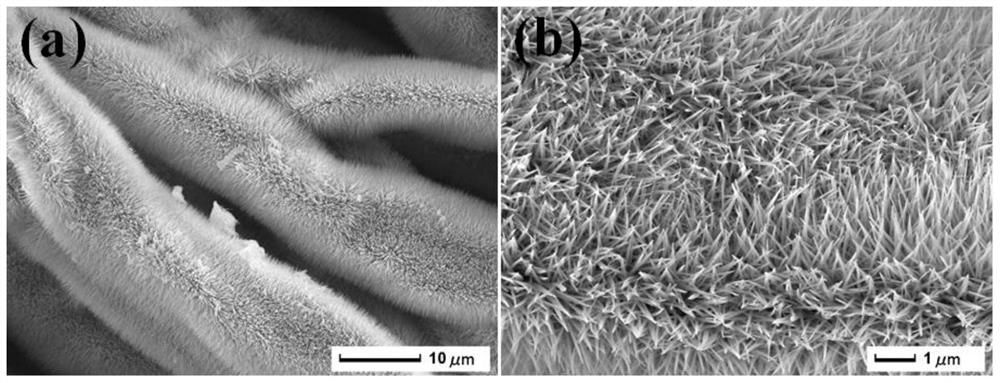 A preparation method and application of visible light-induced self-cleaning carbon fiber membrane