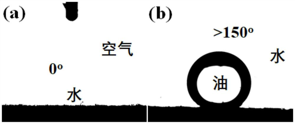 A preparation method and application of visible light-induced self-cleaning carbon fiber membrane