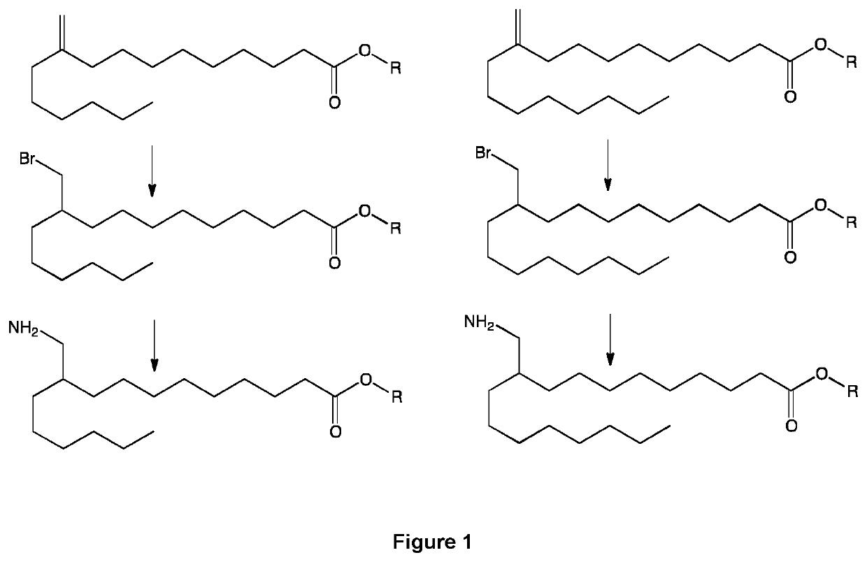 Derivatives of 10-methylene lipids, process for preparing such derivatives and use thereof