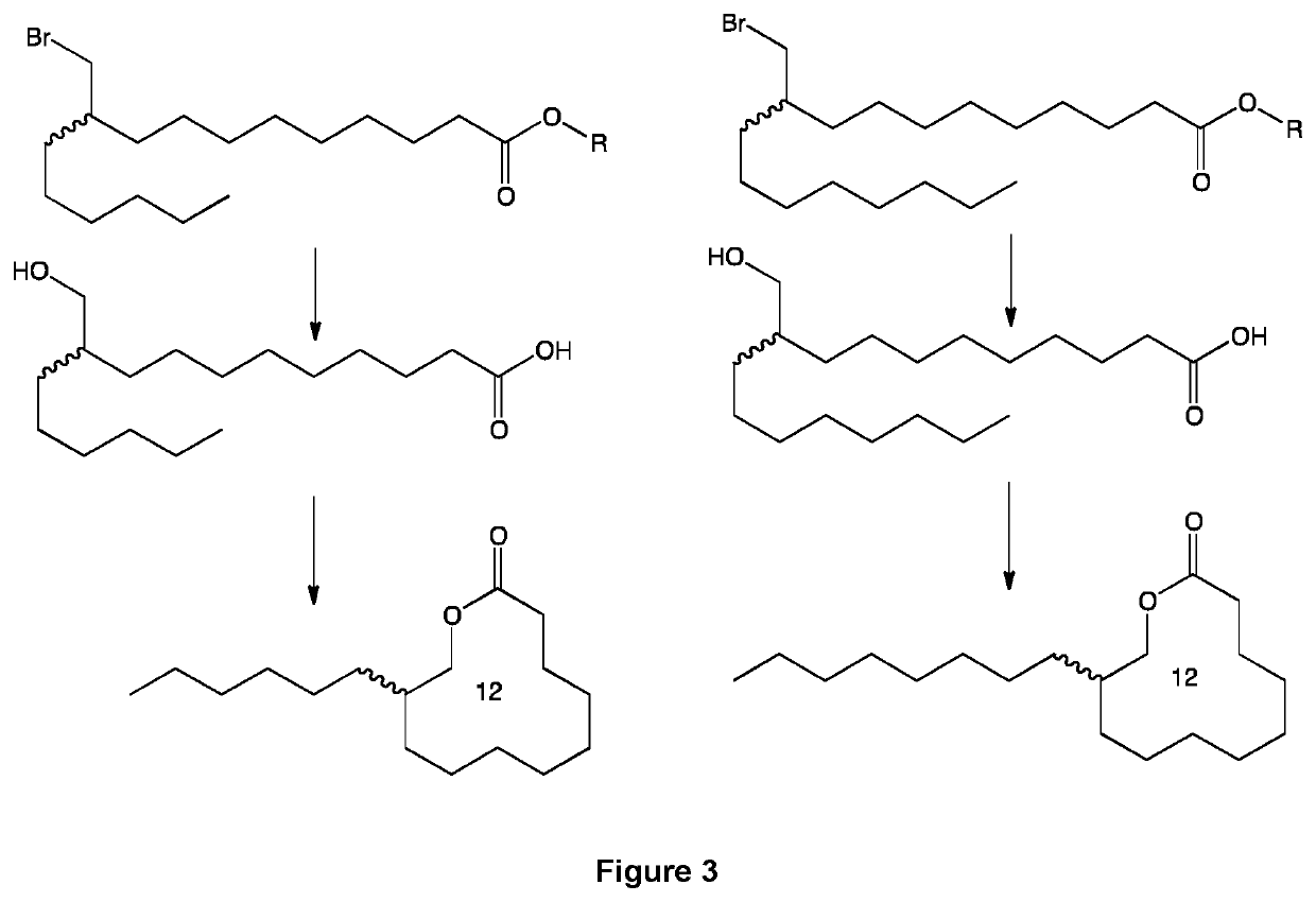 Derivatives of 10-methylene lipids, process for preparing such derivatives and use thereof