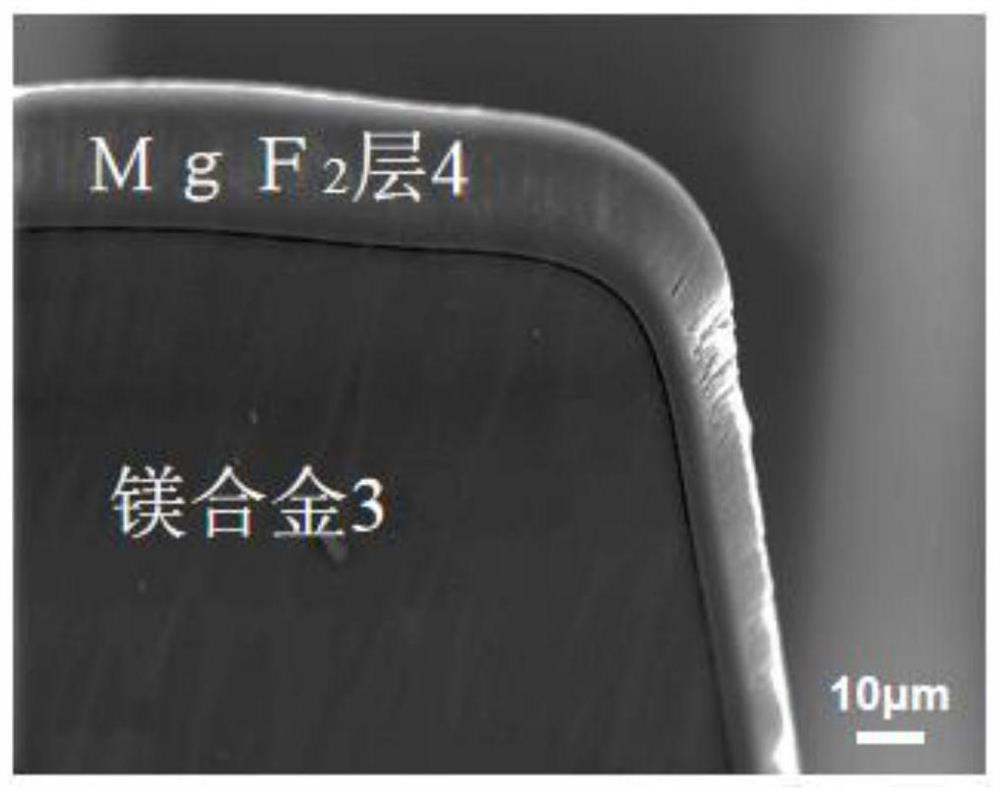 Bioabsorbable magnesium alloy stent and preparation method thereof