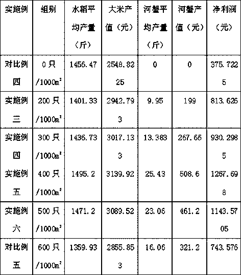 Method for breeding adult crabs in northern rice field