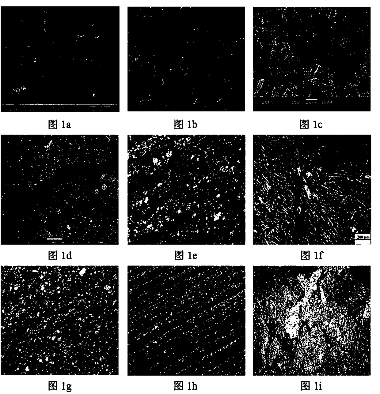 A Classified and Quantitative Characterization Method for Microfractures in Fractured Tight Reservoirs