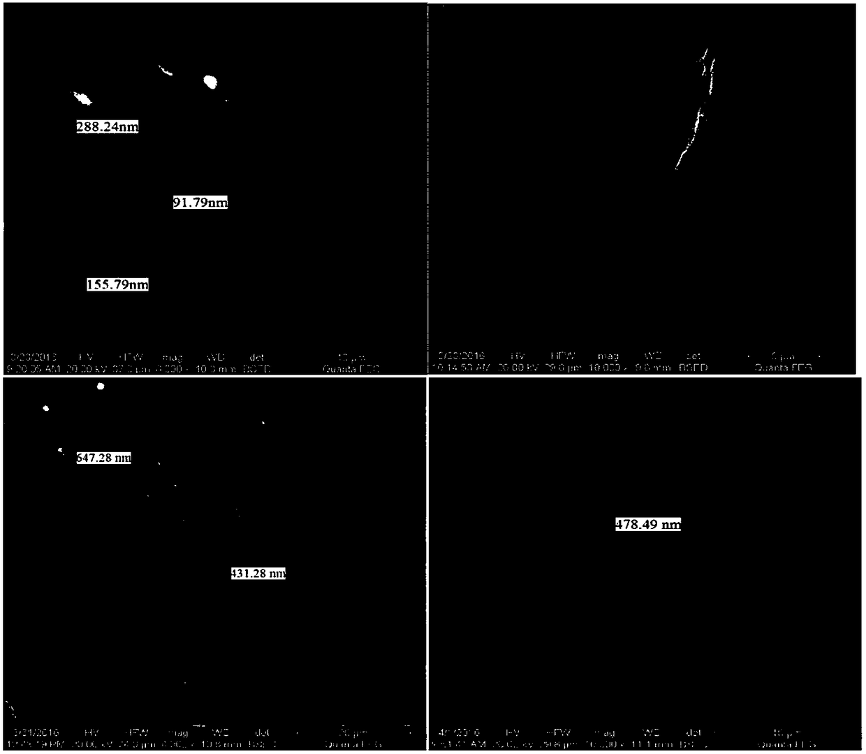 A Classified and Quantitative Characterization Method for Microfractures in Fractured Tight Reservoirs