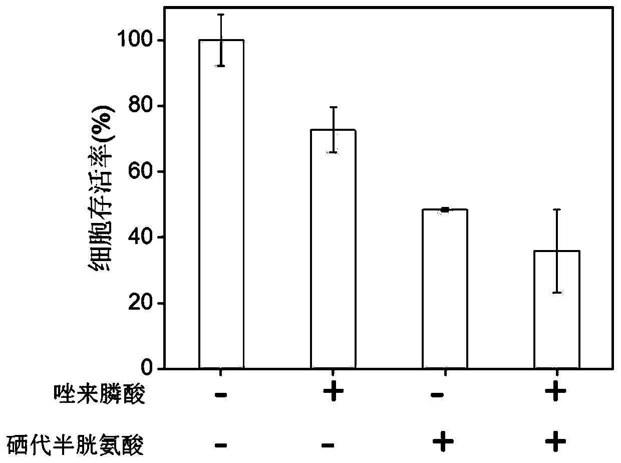 Application of combination of zoledronic acid and organic selenium compound in preparation of antitumor drugs