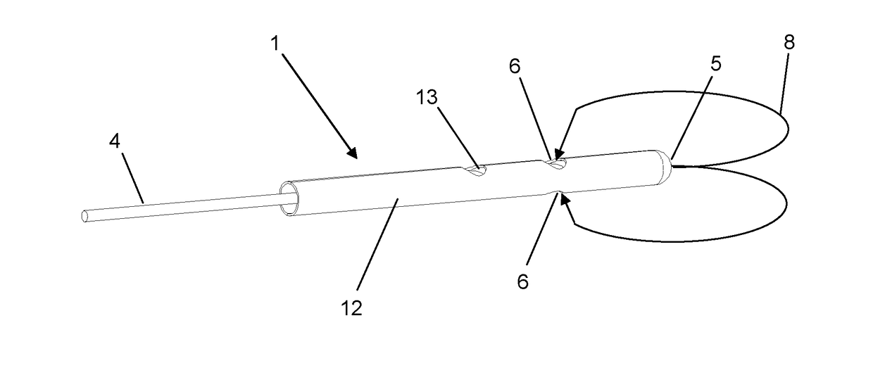 Measuring device for measuring cerebral parameters