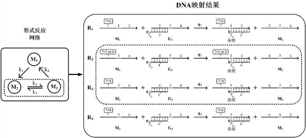 Method for implementing single-molecule chemical reaction network by DNA (deoxyribonucleic acid) strand displacement reaction