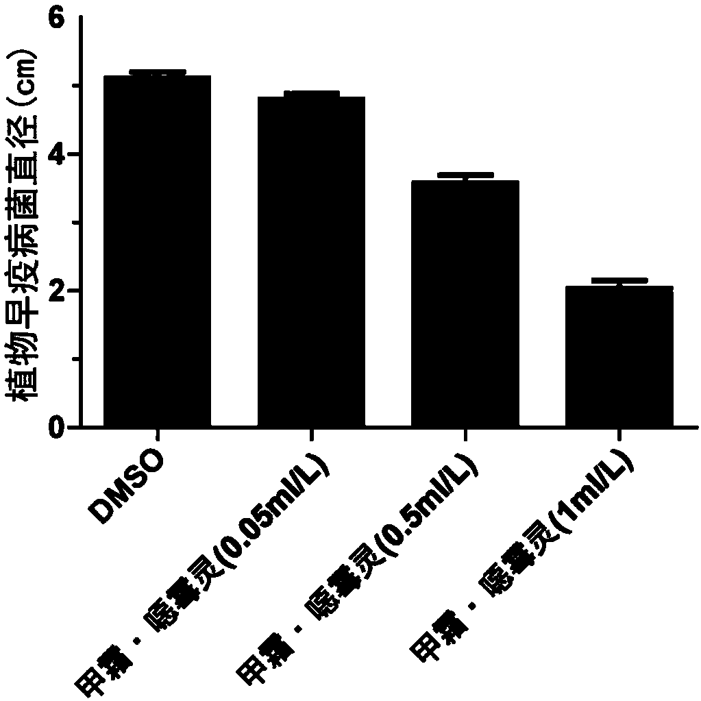 New application of rapamycin for inhibiting plant early blight