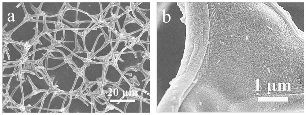 A kind of negative electrode material of sodium ion battery and its preparation method and application