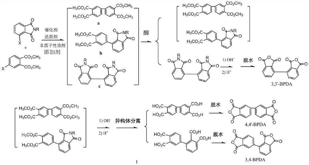 Method for preparing, separating and purifying biphenyl derivative through catalytic coupling