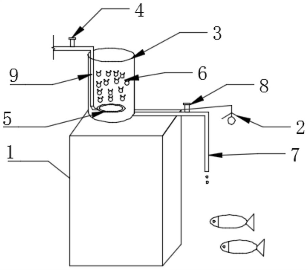 Artificial breeding system and bait feeding method for artificial breeding of coilia ectenes