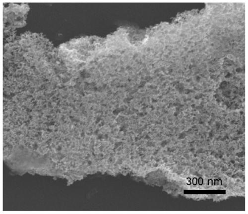 A kind of preparation method of two-dimensional porous pt nanosheet and its obtained material and application