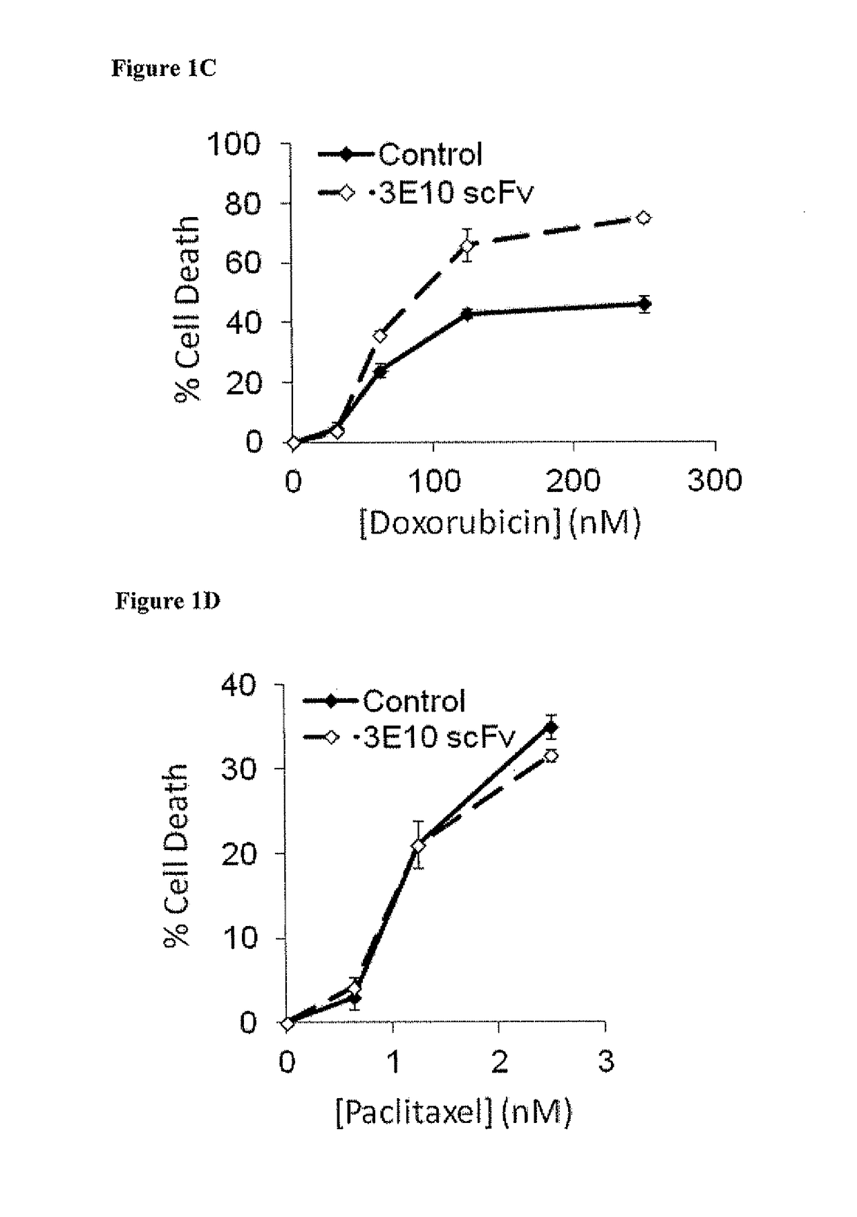 Cell-penetrating anti-DNA antibodies and uses thereof inhibit DNA repair