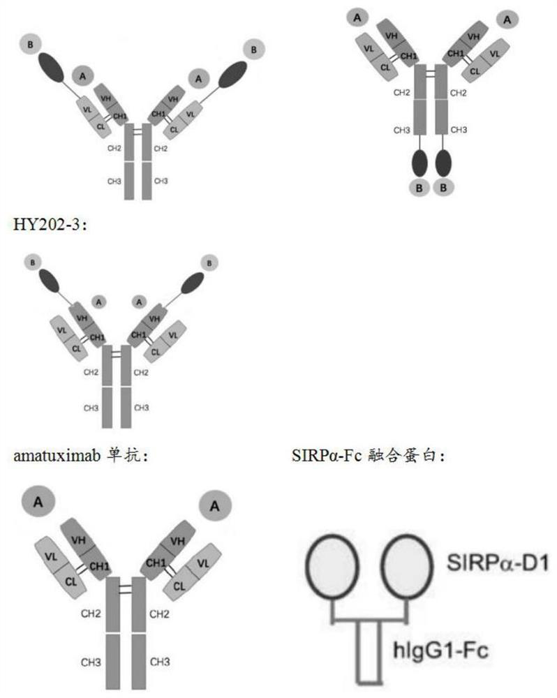 Recombinant bifunctional fusion protein and application