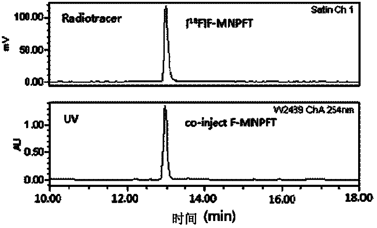 18/19F-ester nitroimidazole compound, preparation method thereof and application as hypoxic tissue developing agent