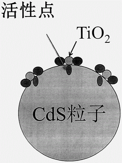 Method for prolonging service life of CdS nano photocatalyst