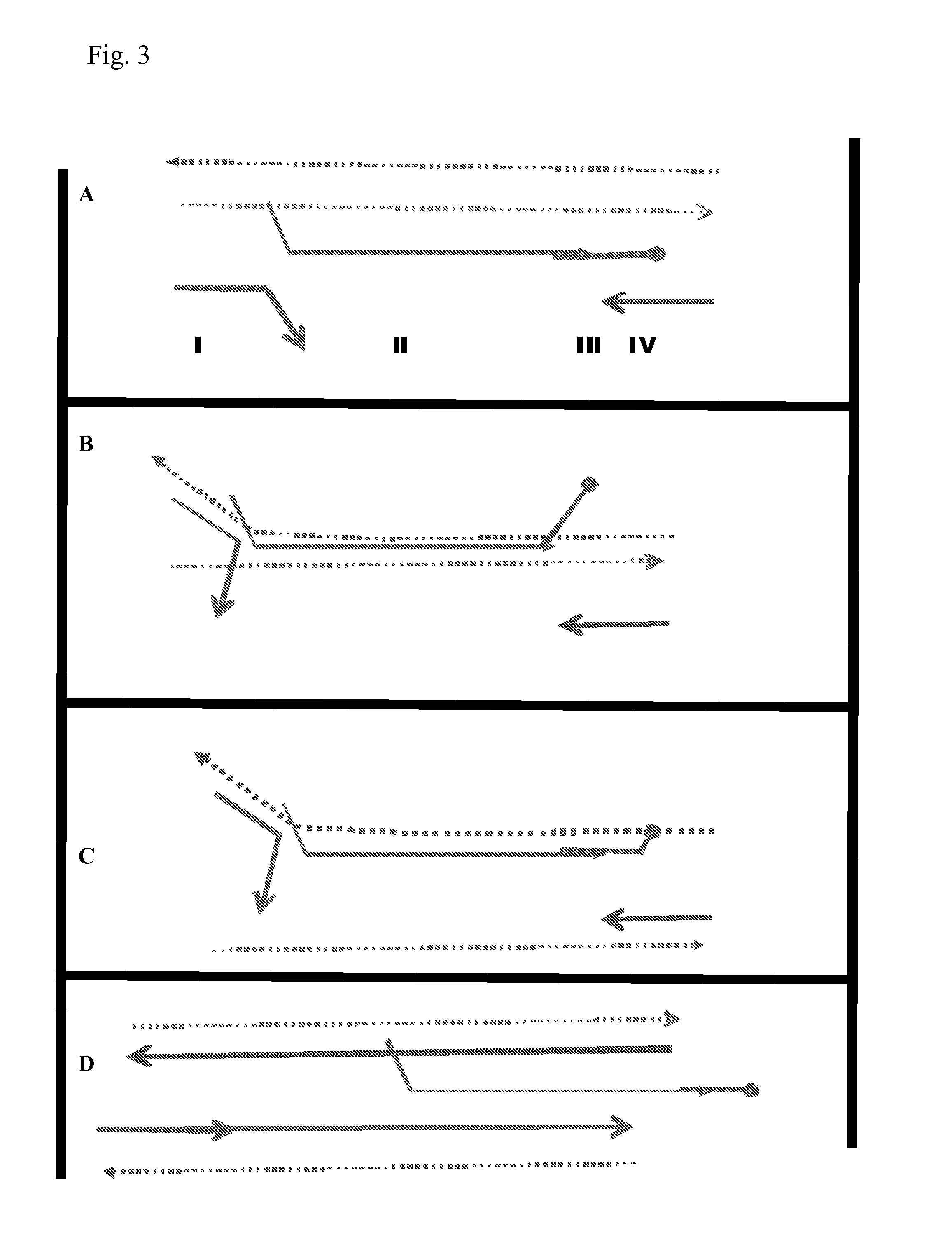 Isothermal nucleic acid amplification