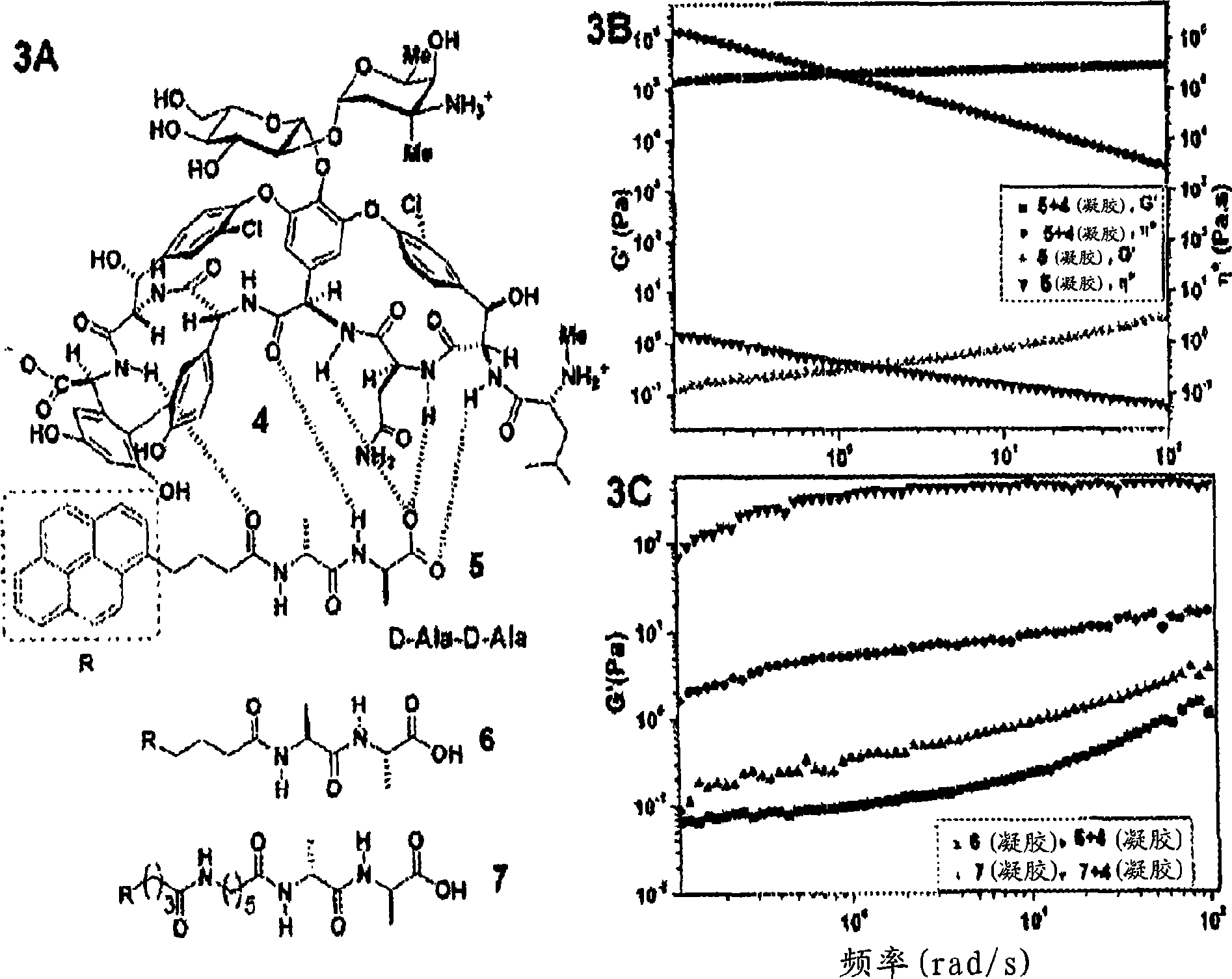 Multifunctional supramolecular hydrogels as biomaterials