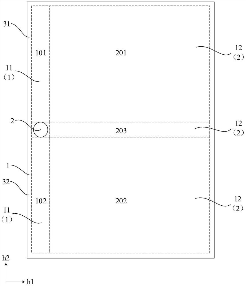 Organic light emitting display panel and display device