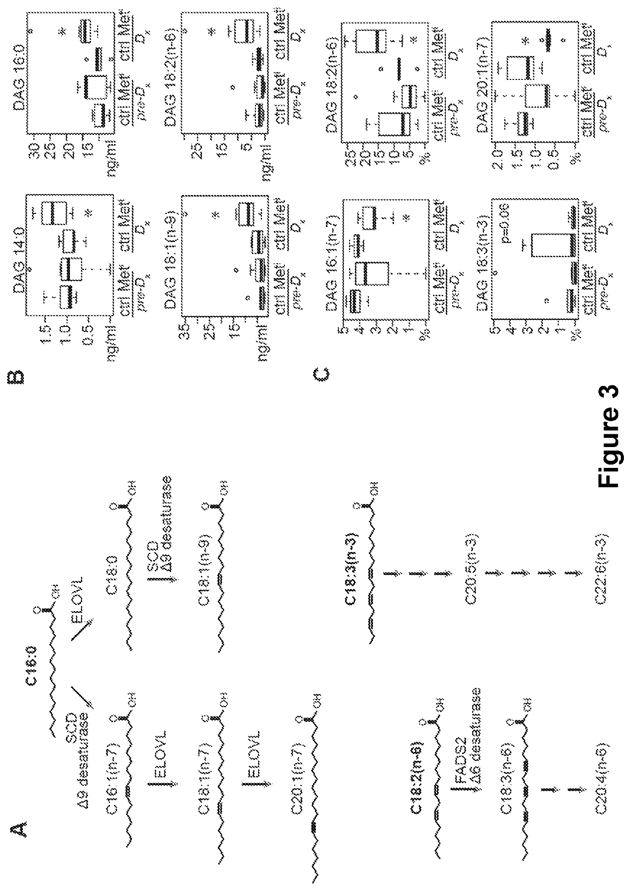 Methods for predicting glucoregulatory dysfunction via diacylglycerol fatty acid species concentrations