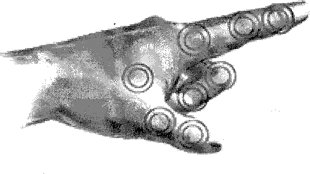 Novel data gloves based on CCD sensor