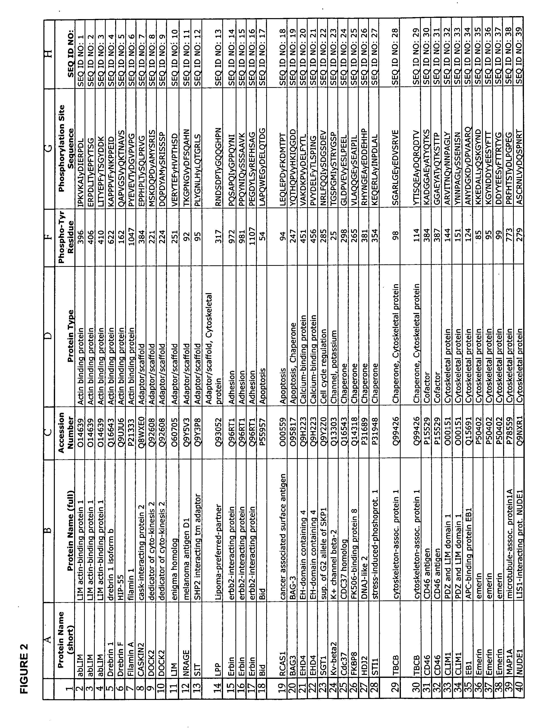 Reagents for the detection of protein phosphorylation in T-cell receptor signaling pathways