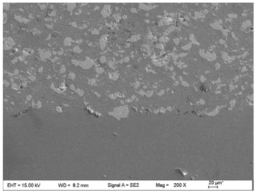 Special material for stainless steel-based composite coating for thin valve plate and preparation method thereof